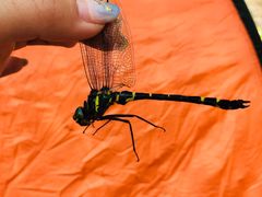 -碓臼峪自然风景区