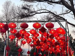-青龙湖公园