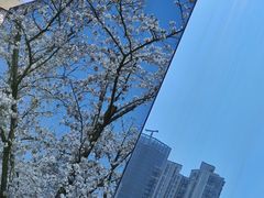 -龙美术馆(西岸馆)