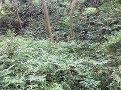 -黄公望隐居地