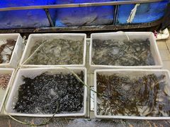 -阳江餐厅·30年老字号·粤菜海鲜大排档