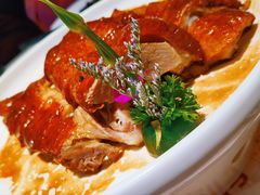 -粤点越有·茶点·粤菜(樵岭国际店)