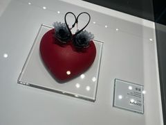 -BLACKSWAN黑天鹅(新希望店)