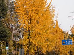 -成都市文殊院