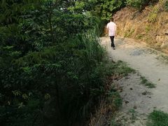 -羚羊峡古栈道森林公园