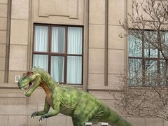 -国家自然博物馆