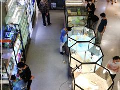 -宠物世家(仲盛世界商城店)