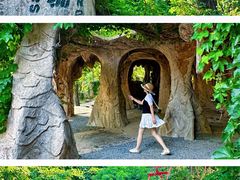 -沈阳植物园