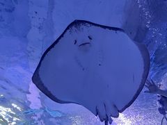 -海合安武汉极地海洋公园