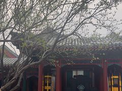 -宫事颐庭·老佛爷贵寿下午茶(颐和园店)