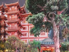-大佛古寺