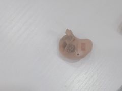 -自然之声助听器·呼吸机(兰考店)