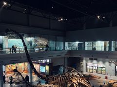 -自贡恐龙博物馆