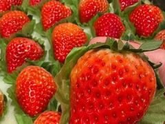 -百果园(板桥路蓝水湾店)