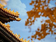 -故宫博物院(故宫)
