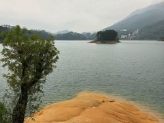 -广州市流溪河国家森林公园