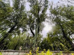 -南长河公园
