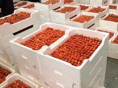 -西郊国际农产品交易中心