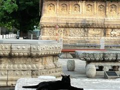 -北京石刻艺术博物馆(五塔寺)