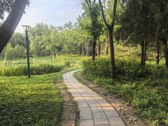 -森林公园(尖草坪区)