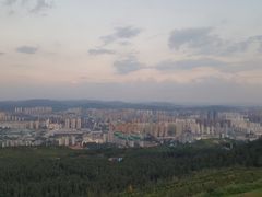 -长虫山生态公园风景林