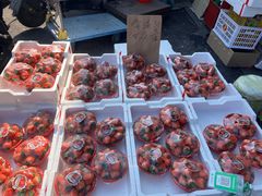 -江杨农产品批发市场