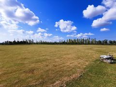 -春花秋色城市公园