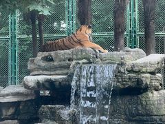 -上海野生动物园