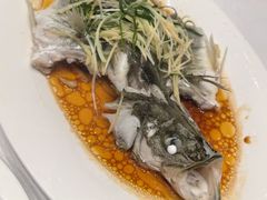 -寻味顺德·珍之宝酒楼(银钻店)