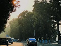 -251#coffee roasters(沿河东路店)