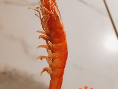 海水活虾-生如夏花泰式火锅(伊藤双楠店)