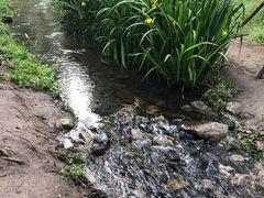 -白水寺森林公园