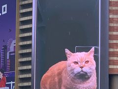 -正大广场