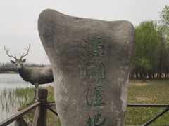 -溱湖国家湿地公园