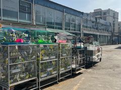 -中环花鸟鱼虫市场