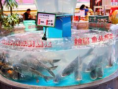 -魏铭鱼头捞饭(晋阳路店)