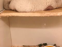 -龙猫仔乐园(惠福东路店)