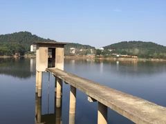 -青龙山国家森林公园