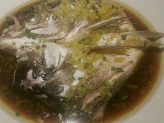 鱼头诱惑（加面）-绿茶餐厅(华联万柳店)