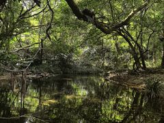 -海南热带雨林国家公园吊罗山景区