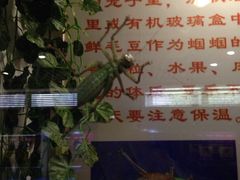 -上海昆虫博物馆