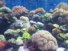 -珠海长隆海洋王国