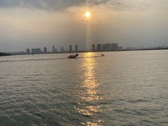 -瑶湖郊野森林公园