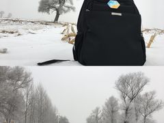 -雾凇岛