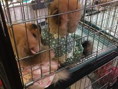 -远洋未来广场(育慧北路店)