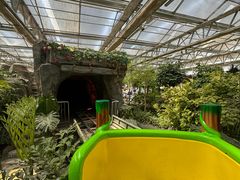 -南宫五洲植物乐园