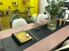 -房东的猫宠物生活馆