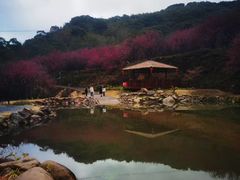 -福清灵石山国家森林公园