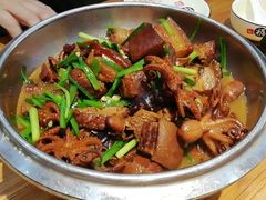 八爪鱼炖肉-大清花饺子城(昌黎店)