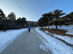 -北京西山国家森林公园